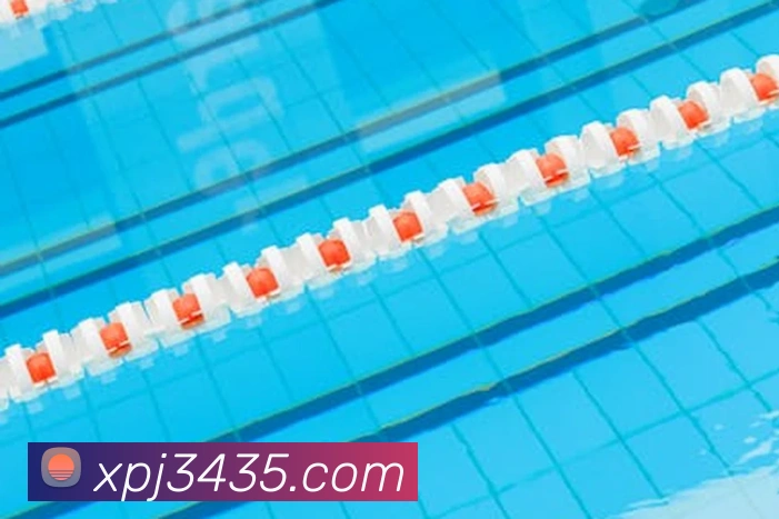 澳门新葡京网站入口APP 封面图